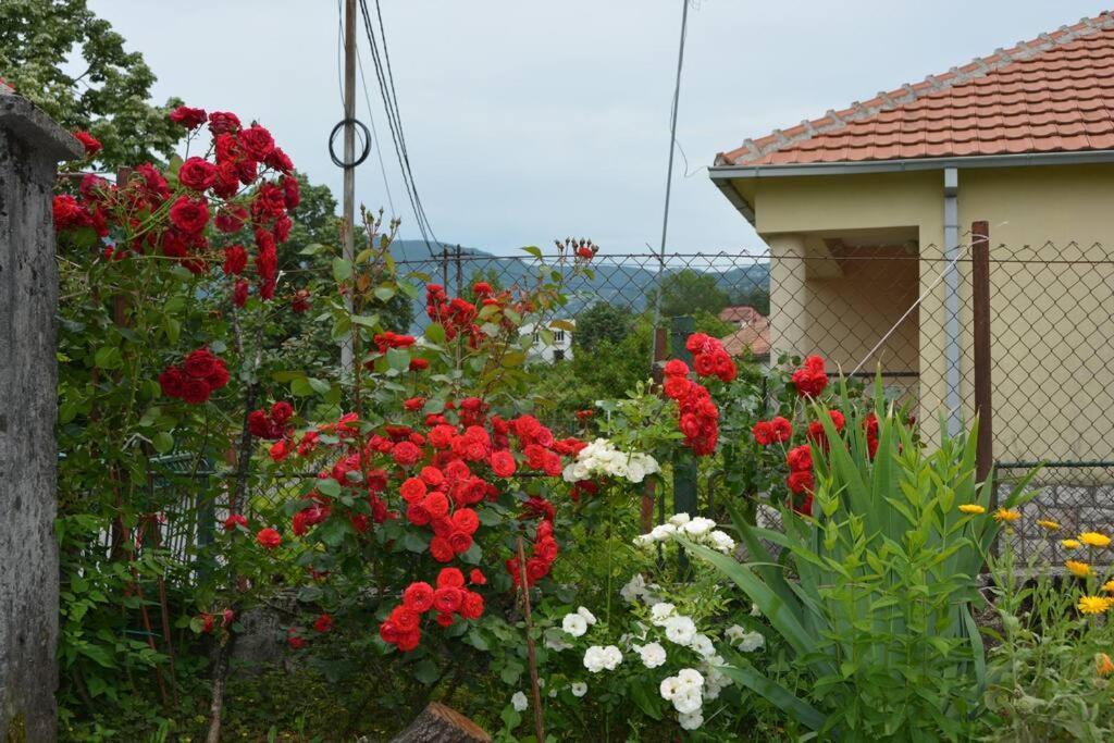 B&B Ana Вирпазар Екстериор снимка